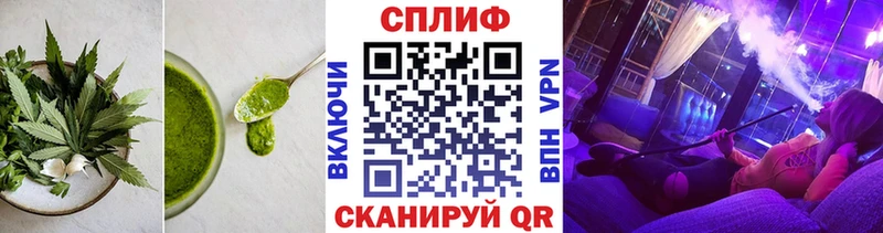 kraken ТОР  Талдом  Cannafood конопля 