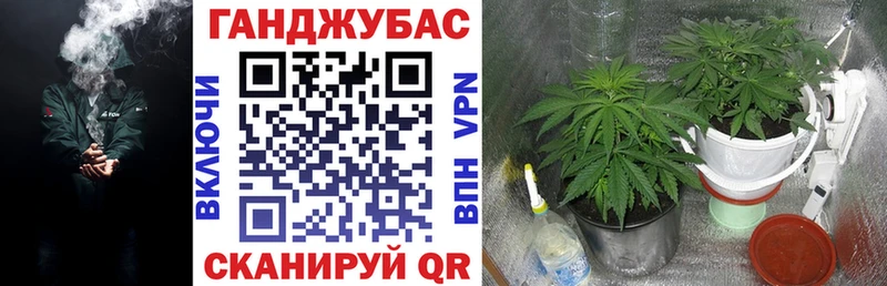 Бошки марихуана сатива  где найти   Талдом 